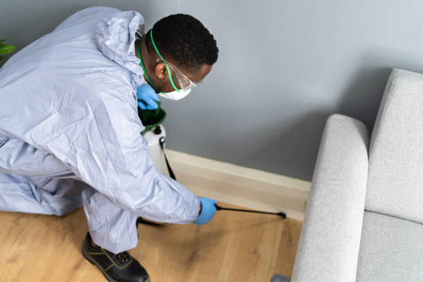 Professional Pest Control in Varnell, GA